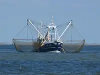 Trawler বিক্রির জন্য