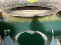 টগবোট বিক্রির জন্য