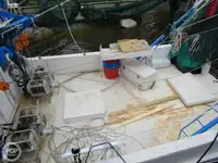 ট্রলার বিক্রির জন্য