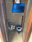 ক্রু বোট বিক্রির জন্য