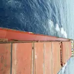 বাল্ক বাহক বিক্রির জন্য