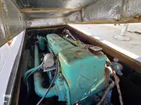 ক্রুজফেরি বিক্রির জন্য
