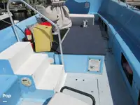 ক্রুজফেরি বিক্রির জন্য
