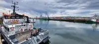 ক্যাটামারান বিক্রির জন্য