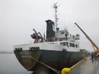 বাল্ক বাহক বিক্রির জন্য