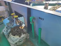 কন্টেইনার জাহাজ বিক্রির জন্য