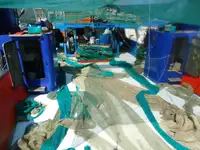 Trawler বিক্রির জন্য
