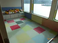 ফেরি জাহাজ বিক্রির জন্য