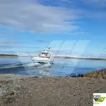 রো-রো জাহাজ বিক্রির জন্য