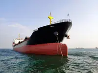 বাল্ক ক্যারিয়ার বিক্রির জন্য