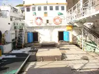 লংলাইনার বিক্রির জন্য