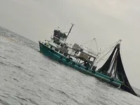পার্স সেইনার বিক্রির জন্য