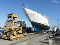 ডাইভ সাপোর্ট বিক্রির জন্য