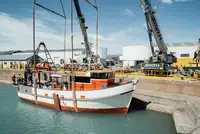 Trawler বিক্রির জন্য