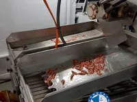 ট্রলার বিক্রির জন্য