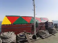 বাল্ক ক্যারিয়ার বিক্রির জন্য