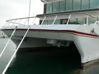ক্যাটামারান বিক্রির জন্য