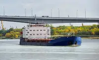 বাল্ক ক্যারিয়ার বিক্রির জন্য