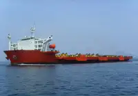 বাল্ক ক্যারিয়ার বিক্রির জন্য