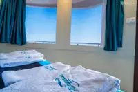 ডাইভ সাপোর্ট বিক্রির জন্য