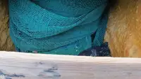 ট্রলার বিক্রির জন্য