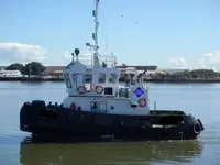 টাউবোট বিক্রির জন্য
