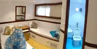 ডাইভ সাপোর্ট বিক্রির জন্য