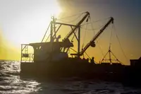 ওয়ার্ক বোট বিক্রির জন্য