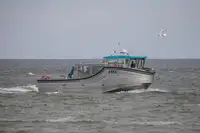 যাত্রী জাহাজ বিক্রির জন্য