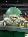 রো-রো জাহাজ বিক্রির জন্য