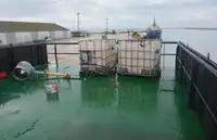 বার্জ বিক্রির জন্য