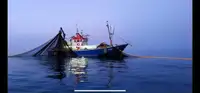 Trawler বিক্রির জন্য