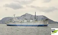 Ro-Ro ship বিক্রির জন্য