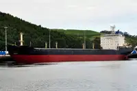 বাল্ক ক্যারিয়ার বিক্রির জন্য