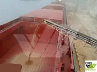 বাল্ক বাহক বিক্রির জন্য