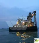 বাল্ক বাহক বিক্রির জন্য