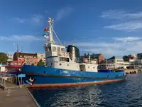 টাউবোট বিক্রির জন্য