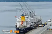 বাল্ক বাহক বিক্রির জন্য