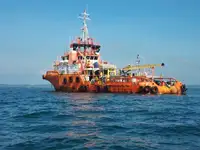 টাউবোট বিক্রির জন্য