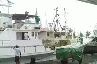 Longliner বিক্রির জন্য