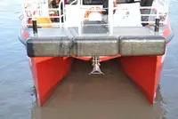 ক্যাটামারান বিক্রির জন্য
