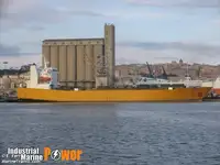 Ro-Ro ship বিক্রির জন্য