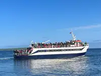 যাত্রীবাহী জাহাজ বিক্রির জন্য