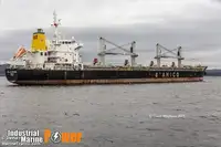 বাল্ক বাহক বিক্রির জন্য