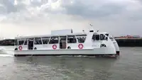 ক্যাটামারান বিক্রির জন্য