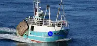 Beam trawler বিক্রির জন্য