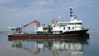 পার্স সেইনার বিক্রির জন্য
