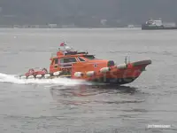 টাউবোট বিক্রির জন্য