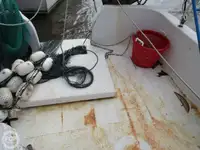 ট্রলার বিক্রির জন্য