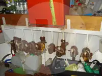 বিম ট্রলার বিক্রির জন্য